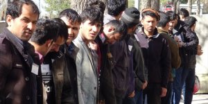 Kars'ta Kaçak Göçmen Operasyonu