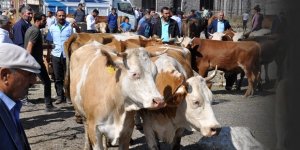 'Kurban Pazarı'nda Yoğunluk Yaşanıyor