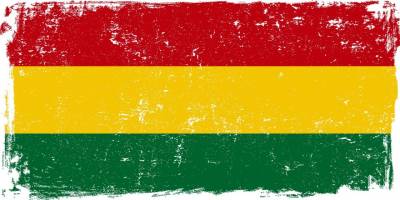 'Sosyalist Yönetim'den Demokrasi Çağrısı.. Bolivya'da Darbe Girişimi!