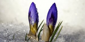 Kars ve Bölge İçin Meteorolojik Uyarı