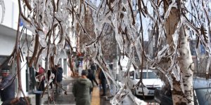Kars'ta Ağaçların Dalları Buz Tuttu