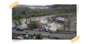 Çatıda Mahsur Kalan Köpekler Kurtarıldı