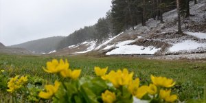 Sarıkamış’ta ‘Kar’ Manzaraları