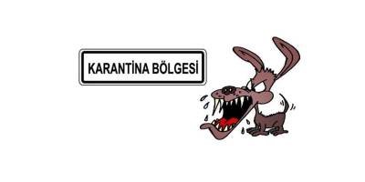 Kars'ta Kuduz Alarmı.. Digor'un Dağpınar Beldesi Karantinaya Alındı!