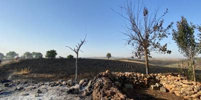 Diyarbakır ve Mardin'de Yangın.. Çok Sayıda Ölü, Onlarca Yaralı Var!