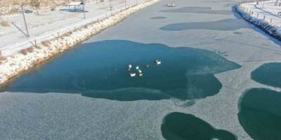 Sivas’ta Soğuk Hava Etkisini Gösterdi.. Ördeklerin Olduğu Gölet Kısmen Dondu!