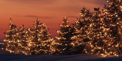 Yılbaşı Tedbirleri.. İçişleri Bakanlığı, 325 Bin 267 Personel Görevlendirdi!