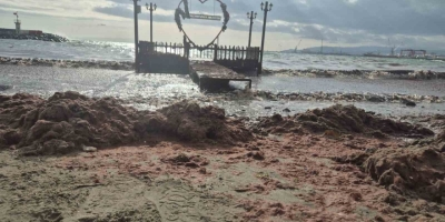 Tekirdağ’da Lodos Kıyıyı Vurdu, Kızıl Yosunlar Sahili Kapladı