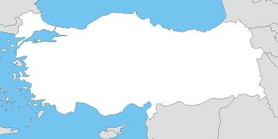 Diyadin’de Bir Evde Ruhsatsız Silah Ve Fişek Ele Geçirildi