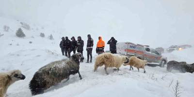 Artvin’deki Çığ Faciası.. Cansız Bedenine Ulaşılan Çobanının Kimliği Belli Oldu!