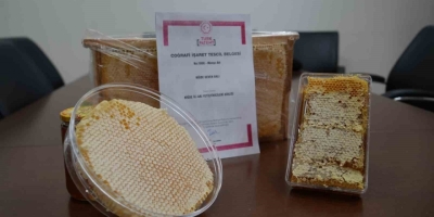 Niğde’nin ’geven Balı’ Coğrafi İ̇şaretle Tescillendi