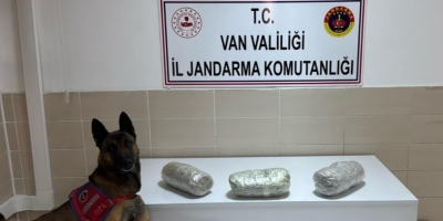 Gevaş’ta 3 Kilo Esrar Ele Geçirildi