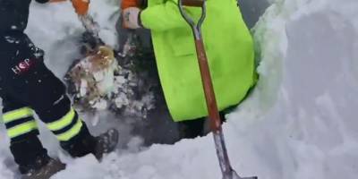 Artvin’de Çığ Felaketi.. Arama Kurtarma Çalışmaları Yeniden Başladı!