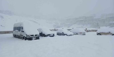 Kulp’ta 10 Yılın En Yoğun Kar Yağışı: Araçlar Kar Altında Kaldı