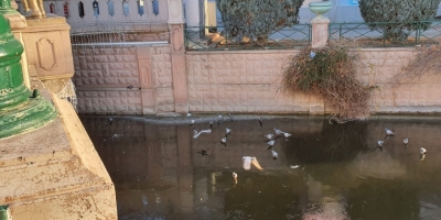 Porsuk’un Donduğunun Resmidir