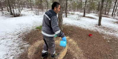 Çorum Belediyesi Yaban Hayvanlarını Unutmadı