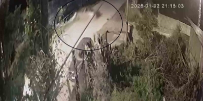 Otomobilin Su Kanalına Uçtu: 3 Yaralı