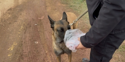 7. Gün Kapıdağ’da Umut Nöbeti Sürüyor