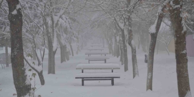 Besni’de Kar Yağışı İlçeyi Beyaza Bürüdü