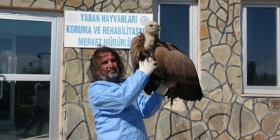 Prof. Dr. Lokman Aslan’dan Kritik Uyarı: "yaban Hayatına Müdahale Merhamet Değil Tehlikedir"