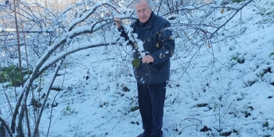 Mevsiminde Yağan Kar Fındık Üreticisini Sevindirdi