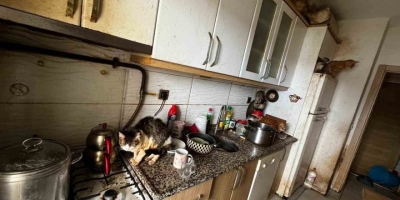 Kapı Açılınca Karşılaşılan Manzara Şoke Etti