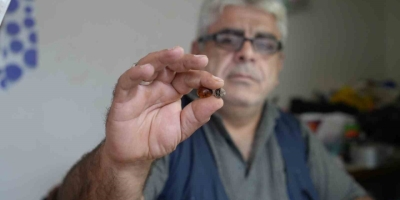 Bayburtlu Kehribar Ustası İşlediği Taşta Milyonlarca Yıllık Böcek Fosili Buldu