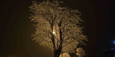 Elazığ’da Ağaçlar Kırağı Tuttu