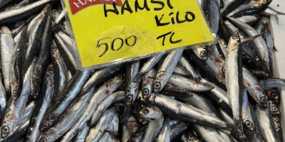 Denizlerdeki Durgunluk Tezgaha Yansıdı