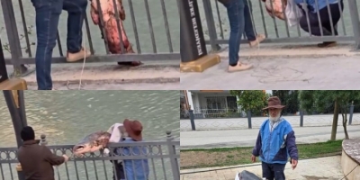 Mersin’de Göksu Nehri’nde Yakalanan Dev Yayın Balığı Güçlükle Kıyıya Alındı