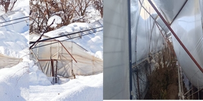 Hakkari’de Kar Seraları Çökertti