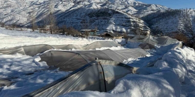 Derecik’te Kardan Dolayı 38 Sera Zarar Gördü