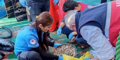 Kastamonu’da Beyaz Kum Midyesi Avcılığına Yönelik Denetimler Sürüyor