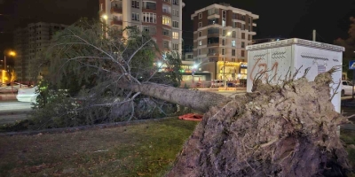 Kayseri’de Kuvvetli Rüzgar: Ağaç Otomobilin Üzerine Devrildi