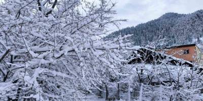Artvin'de Kar Yağışı Ulaşımı Aksattı.. 34 Köy Yolu Kapandı!