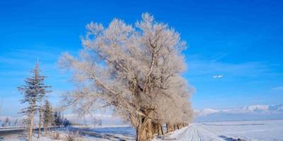 Bölgede Dondurucu Soğuklar.. Göle'de Termometreler -27,5'i Gösterdi!