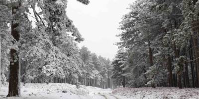 Kars'ta Yoğun Kar Yağışı ve Tipi.. 208 Köy Yolu Ulaşıma Kapandı!