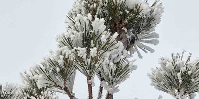 Kış Bitmiyor.. Kars Merkezli Soğuk Dalgası Bölgeyi Etkiliyor!