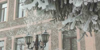 Soğuk Hava Hayatı Felç Etti.. Ardahan'da Sıcaklık eksi 25'e Düştü!