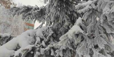 Ardahan'da Kış Sert Yüzünü Gösterdi.. Esnaf Buz Kırarak İşe Başladı!