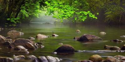 Göle’de Dereler Mercek Altında.. Yeni Islah Çalışmaları İçin Teknik İnceleme!