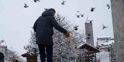 Erzurum’da Kar Yağışı Etkili Oluyor