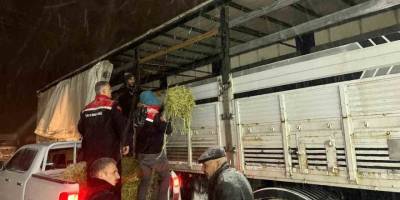 Kar Yağışı Üreticileri Zorladı.. Yolda Mahsur Kalan Hayvanlara Yem Ulaştırıldı!