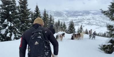 Artvin’de Zorlu Kurtarma.. 3 Aydır Kayıp Atlar Karlar Altından Köye İndirildi!
