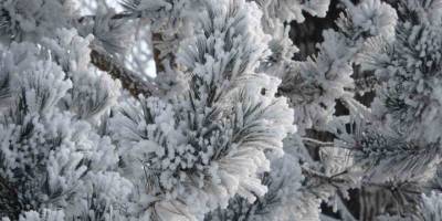 Ardahan’da Dondurucu Soğuk.. Göle’de Termometreler -24,5’i Gösterdi!