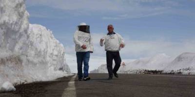 Ardahanlı Arıcılardan Dikkat Çekici Eylem.. Yolumuz Açık Kalmalı!  