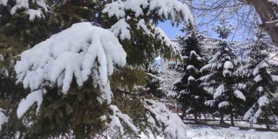 Ardahan’da Kar Kartpostallık Görüntüler Sundu