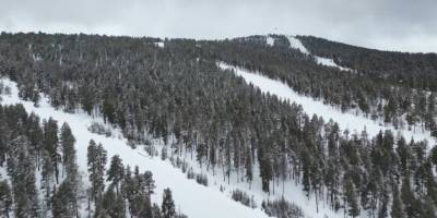 Sarıçam Ormanları Beyaza Büründü.. Sarıkamış’tan Kar Manzaraları!