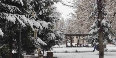 Ardahan’da Nisan Sürprizi.. Kar ve Don Hayatı Olumsuz Etkiledi!