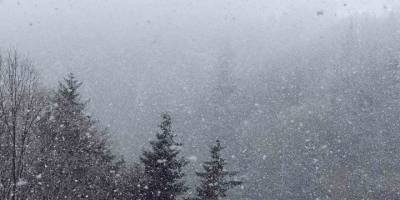 Zigana Dağı’nın Yüksek Kesimlerinde Lapa Lapa Kar Yağdı